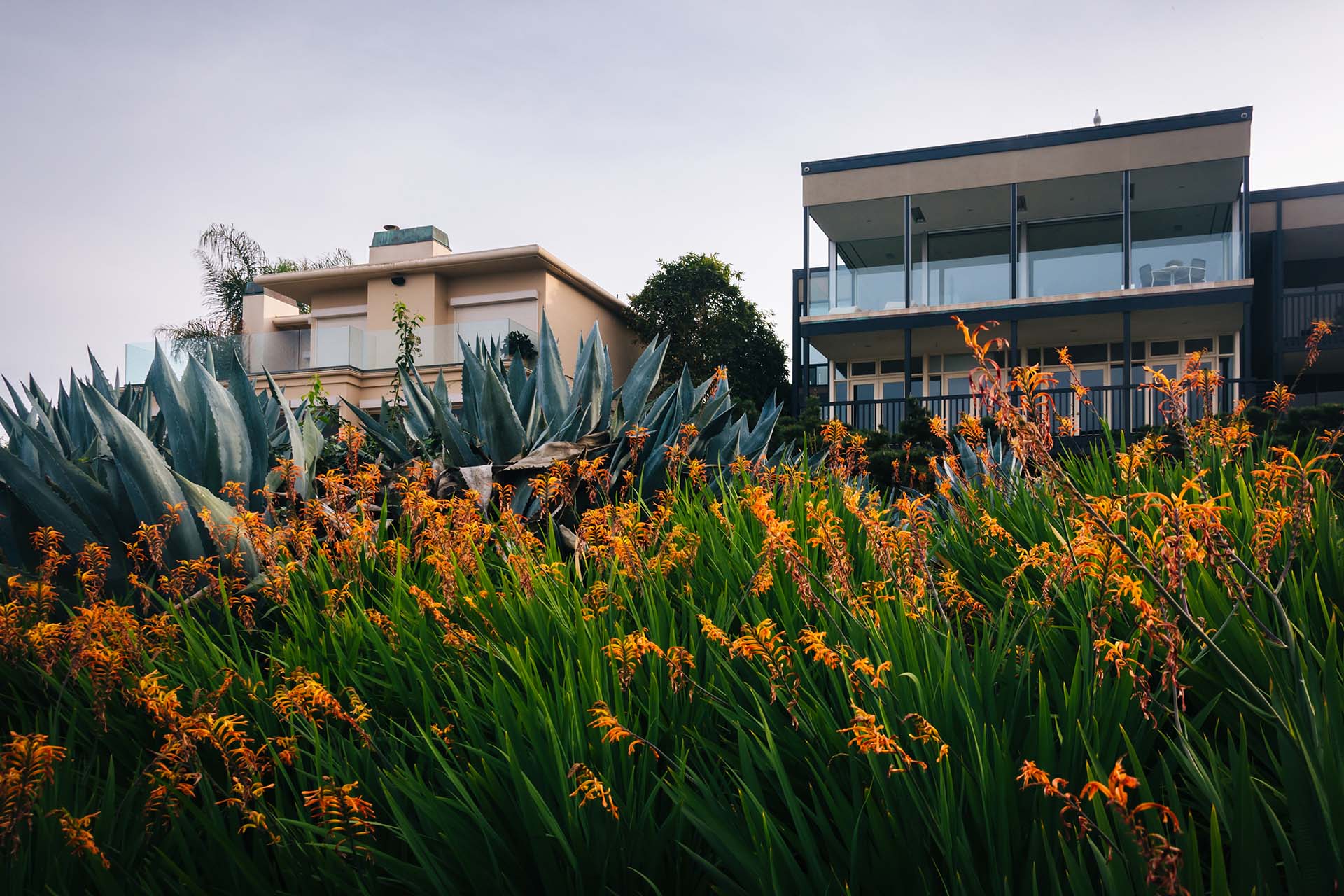 Do You Have a La Jolla Home to Rent?